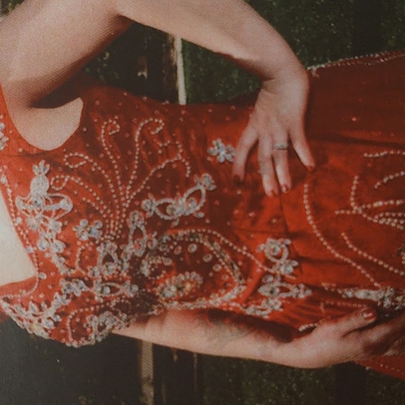 Beautiful Fancy Dress - Picture 2 of 9